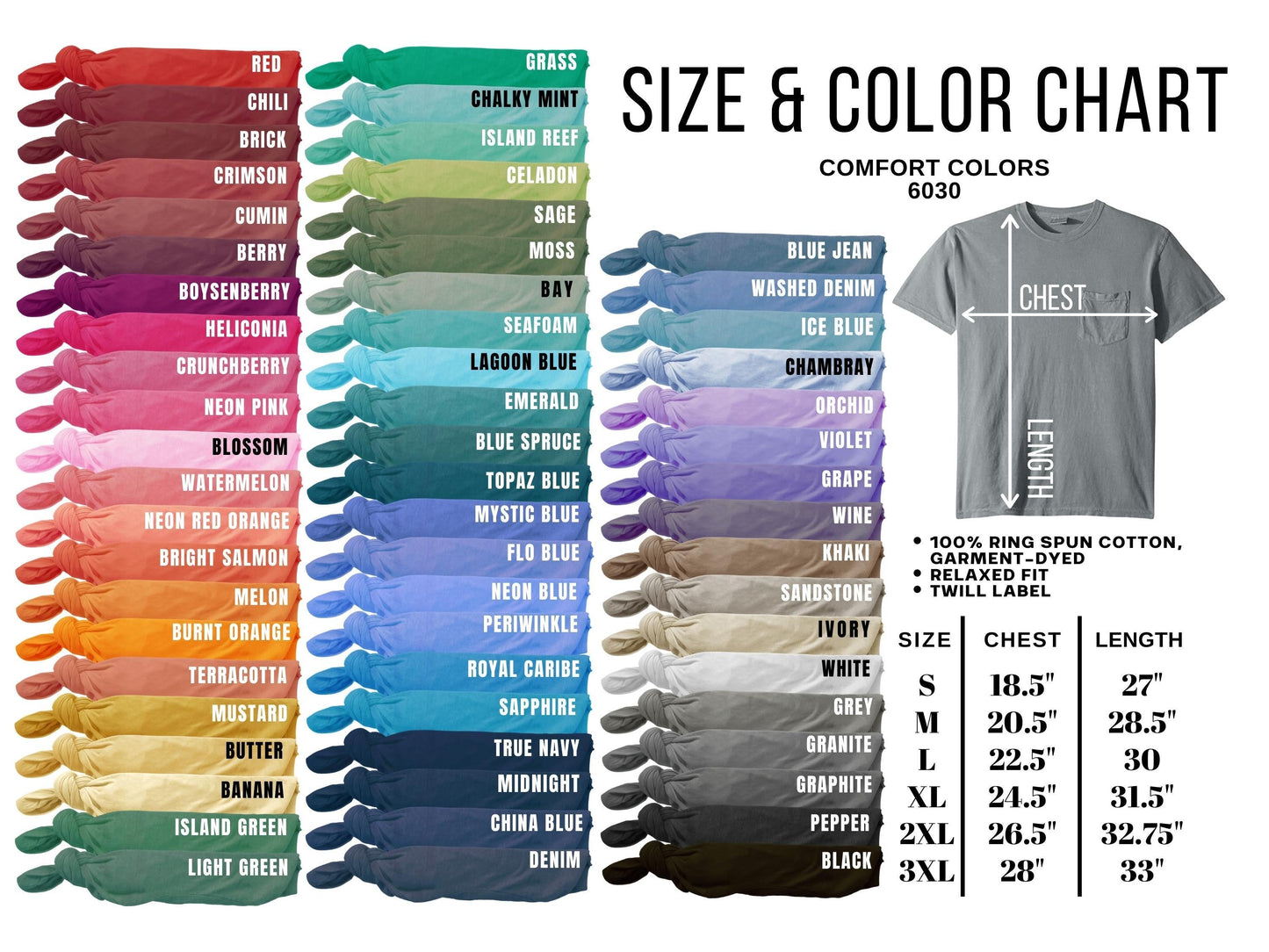 EMERGENCY DEPARTMENT (circle image) POCKET SHORT SLEEVE T-SHIRT, comfort colors